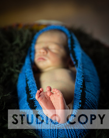 Lupeny Photography-6867