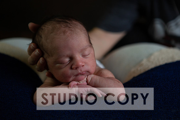 Lupeny Photography-6881