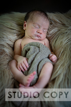 Lupeny Photography-6883