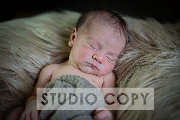 Lupeny Photography-6886