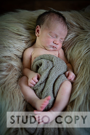 Lupeny Photography-6888