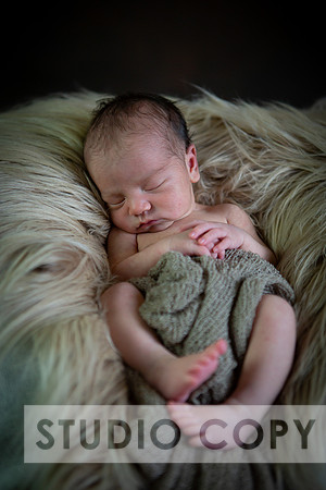 Lupeny Photography-6890