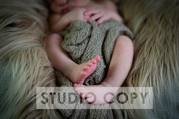 Lupeny Photography-6895