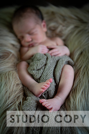 Lupeny Photography-6899