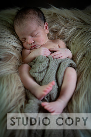 Lupeny Photography-6900