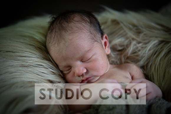 Lupeny Photography-6901