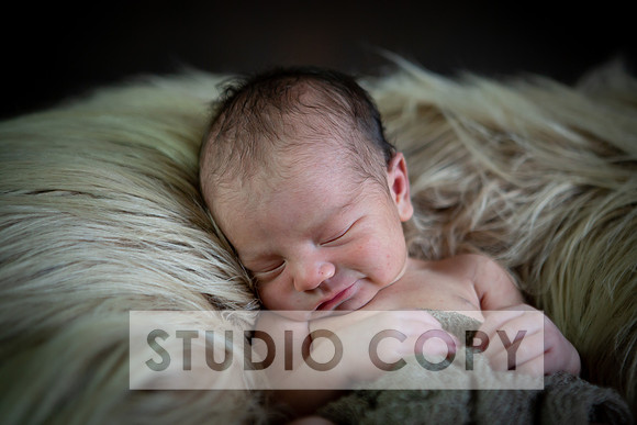 Lupeny Photography-6902