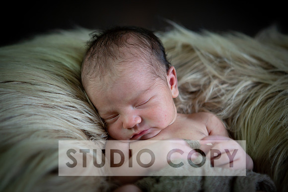 Lupeny Photography-6903