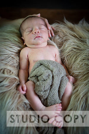 Lupeny Photography-6904