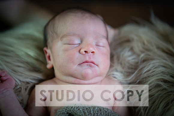 Lupeny Photography-6905