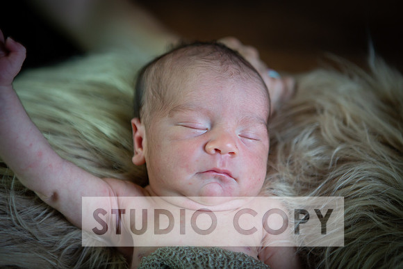 Lupeny Photography-6906