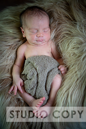 Lupeny Photography-6907