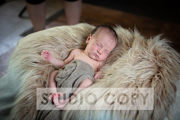 Lupeny Photography-6913