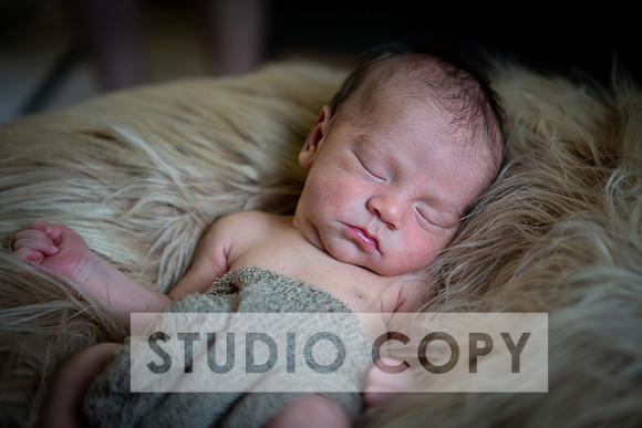 Lupeny Photography-6919