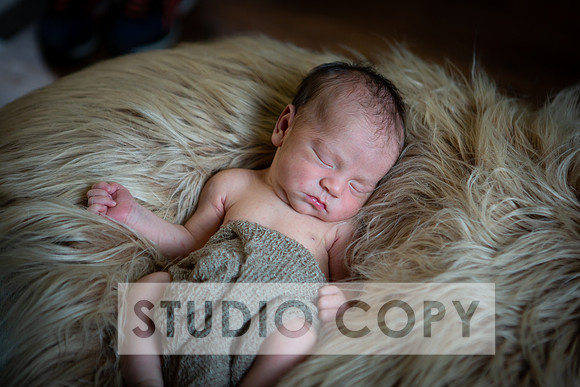 Lupeny Photography-6920