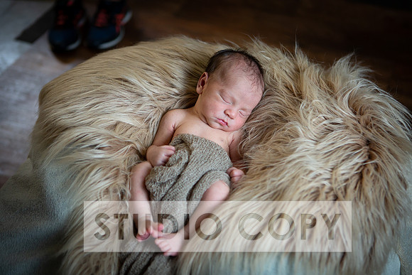 Lupeny Photography-6922