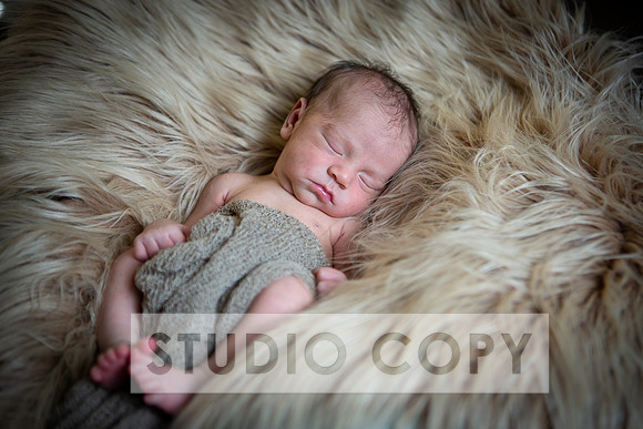 Lupeny Photography-6925