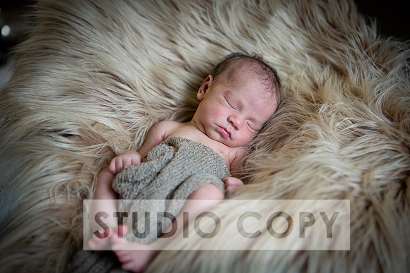 Lupeny Photography-6928