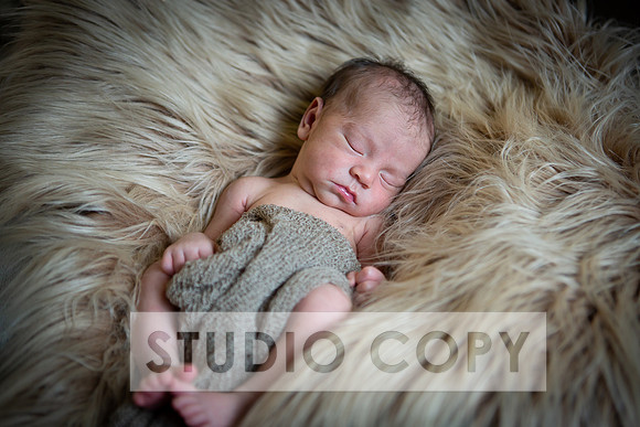 Lupeny Photography-6929