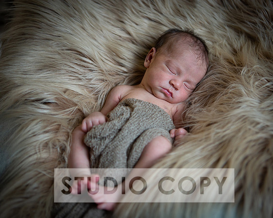 Lupeny Photography-6930