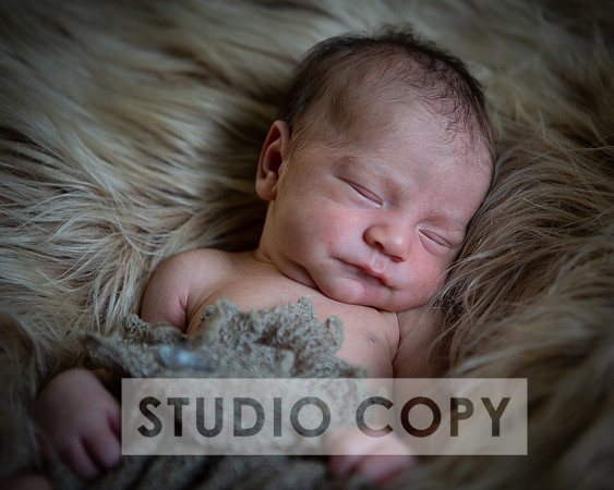 Lupeny Photography-6936