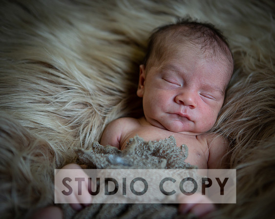 Lupeny Photography-6937
