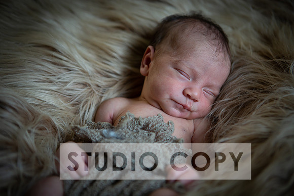 Lupeny Photography-6939