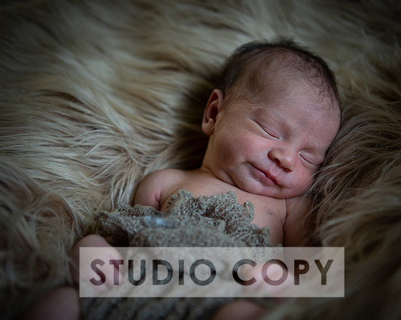 Lupeny Photography-6942