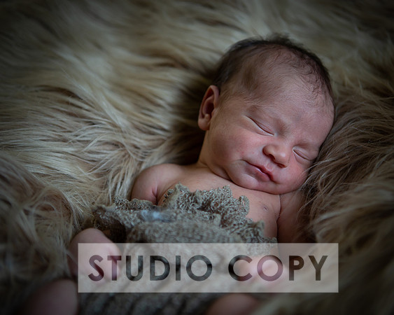 Lupeny Photography-6944