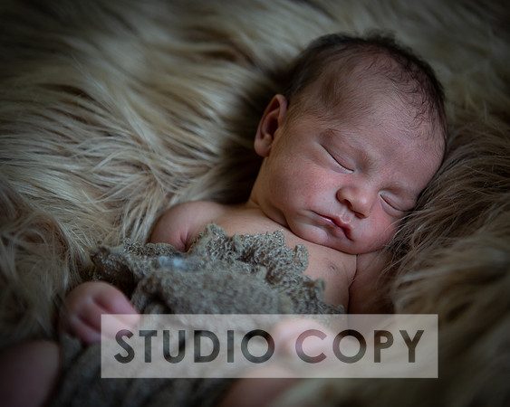 Lupeny Photography-6946