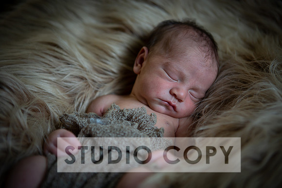 Lupeny Photography-6947
