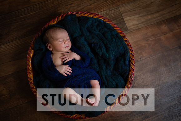 Lupeny Photography-6954