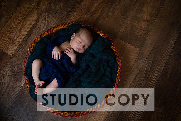 Lupeny Photography-6956