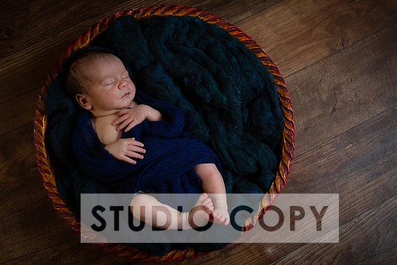 Lupeny Photography-6958