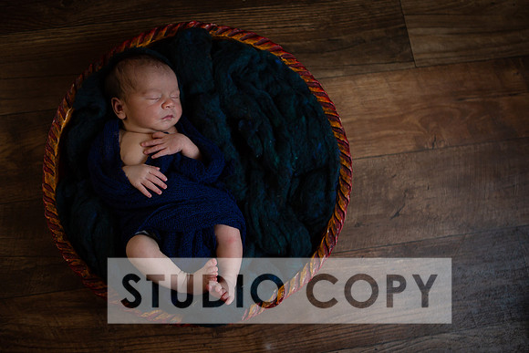Lupeny Photography-6964
