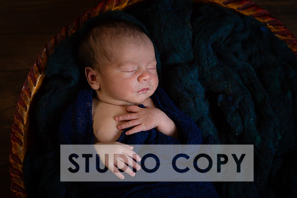 Lupeny Photography-6967