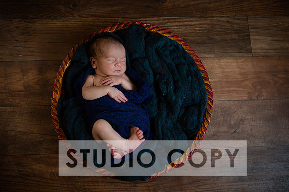 Lupeny Photography-6970