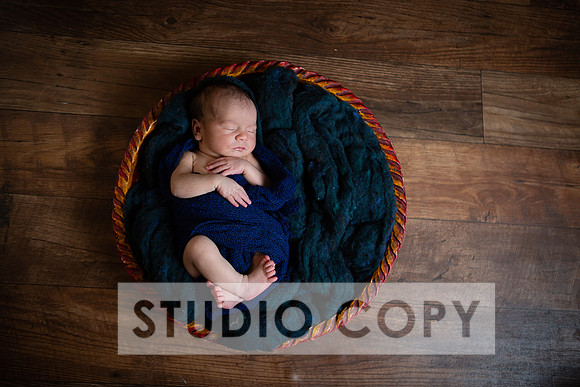 Lupeny Photography-6978