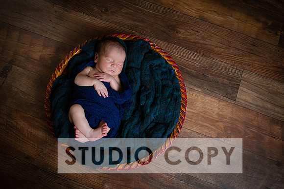 Lupeny Photography-6982