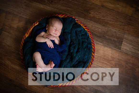 Lupeny Photography-6983