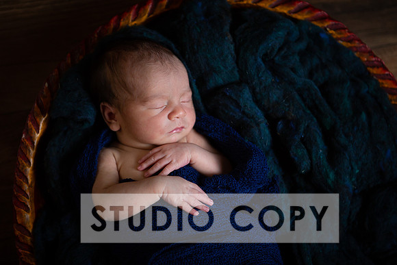 Lupeny Photography-6984