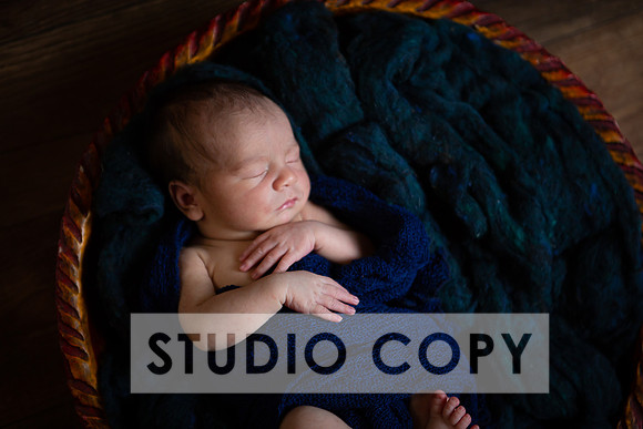 Lupeny Photography-6985
