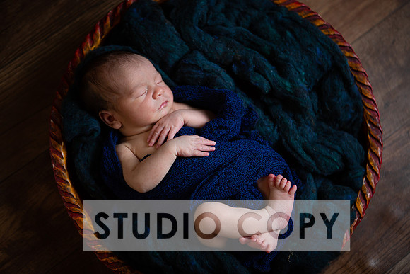 Lupeny Photography-6986