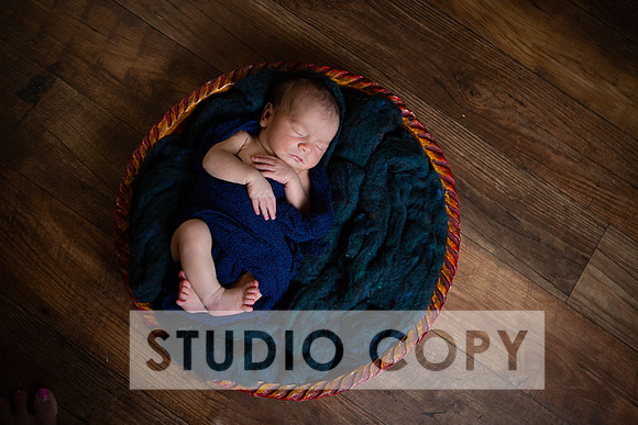 Lupeny Photography-6988