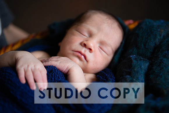 Lupeny Photography-7007