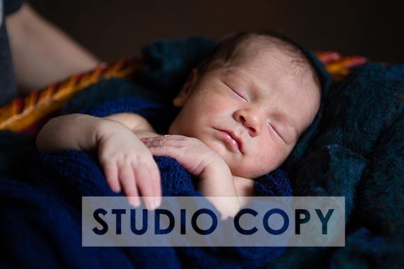 Lupeny Photography-7008