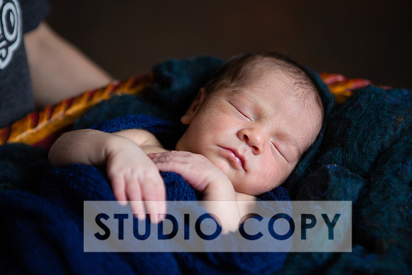 Lupeny Photography-7009