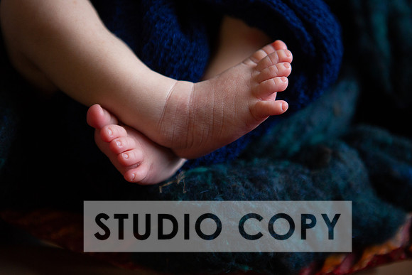 Lupeny Photography-7013