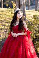 Lupeny Photography-8642