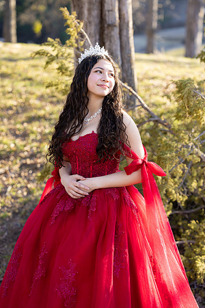 Lupeny Photography-8642